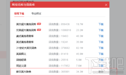 有道词典怎么脱网查询?