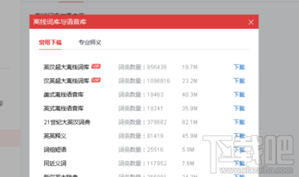 有道词典怎么脱网查询?