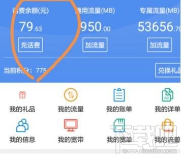 掌上营业厅中怎么查看话费?