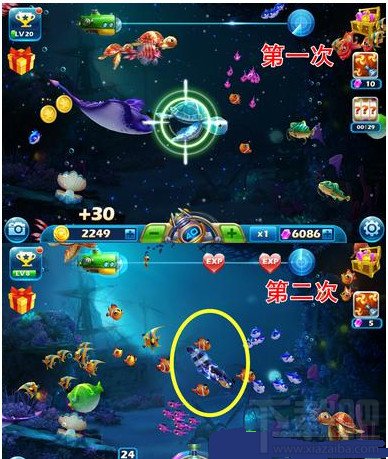 捕鱼达人3特殊鱼类怎么抓