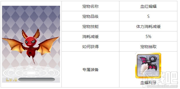 天天风之旅宠物技能大全详细介绍