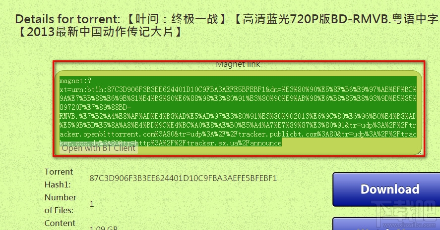 torrentkitty怎么下载电影