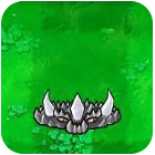 植物大战僵尸植物图鉴 - 刺石