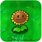 植物大战僵尸植物图鉴 - 向日葵