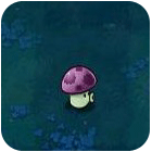 植物大战僵尸植物图鉴 - 喷射蘑菇