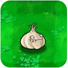 植物大战僵尸植物图鉴 - 大蒜