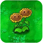 植物大战僵尸植物图鉴 - 孪生向日葵