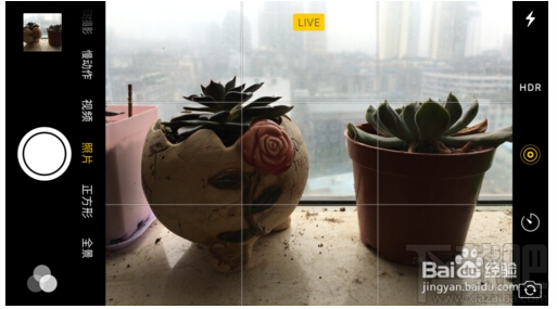 iPhone6s Live Photos怎么拍 苹果Live Photos怎么用