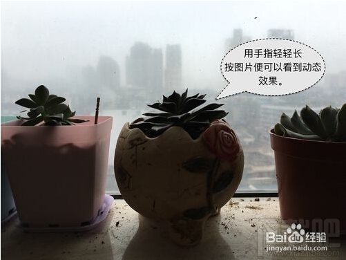 iPhone6s Live Photos怎么拍 苹果Live Photos怎么用