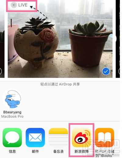 新浪微博怎么发Live Photos 微博live photos怎么用