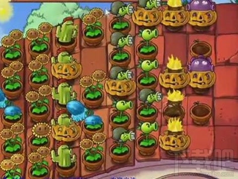 植物大战僵尸生存模式攻略 屋顶