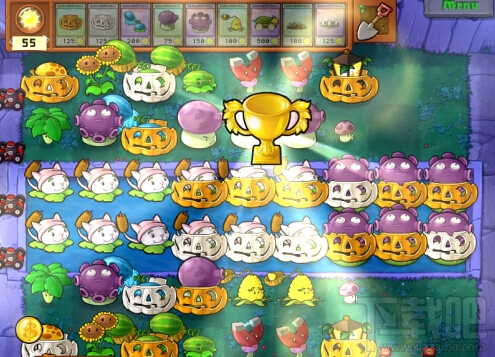 植物大战僵尸生存模式攻略 浓雾