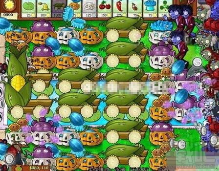 植物大战僵尸十炮流攻略