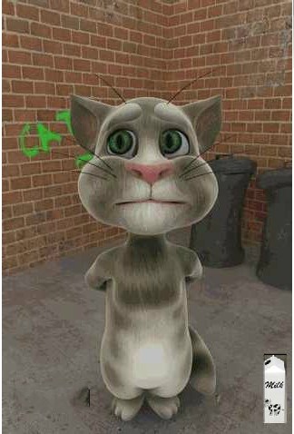 会说话的汤姆猫电脑版电脑版