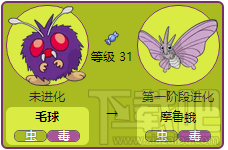 口袋妖怪go毛球进化攻略