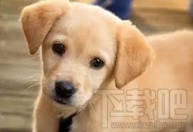 如何在微信运动排行榜中排名第一?在微信运动排行榜中排名第一的方法