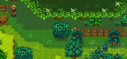 星露谷物语硬木怎么获得?红色硬木头获得攻略