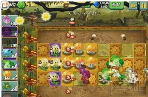 植物大战僵尸2失落之城怎么玩?植物大战僵尸2失落之城玩法攻略