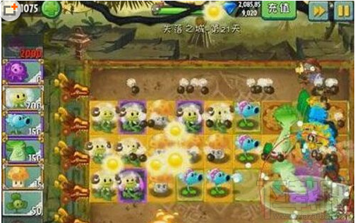 植物大战僵尸2失落之城怎么玩?植物大战僵尸2失落之城玩法攻略
