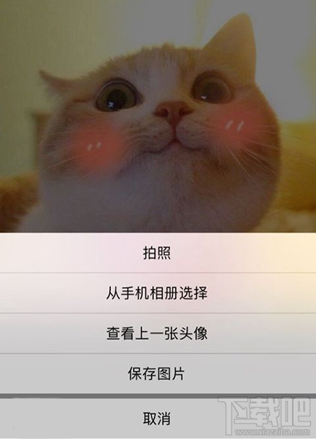 微信头像还是喜欢上一张图片?微信一键换回上一张头像