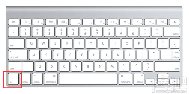 mac电脑怎么向后删除文字？