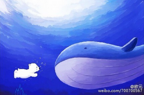 奇幻咔咔3D小白熊在线图片汇总 奇幻咔咔图片下载地址