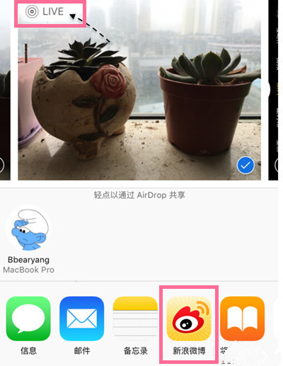 新浪微博怎么发Live Photos 微博live photos怎么用