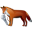 FoxRecorder
