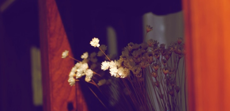 抖音评论字体颜色怎么修改