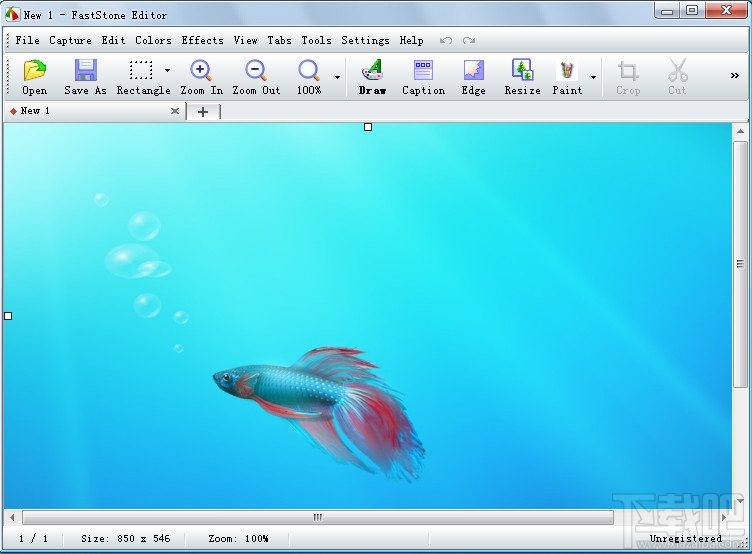 FastStone Capture(1)