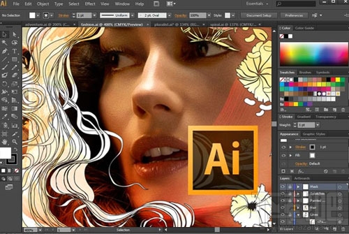 Adobe Illustrator CS6(3)