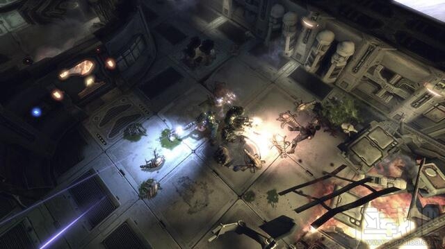 异形繁殖冲击(3)