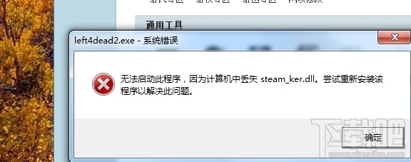 steam ker.dll(1)
