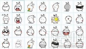 鱼兔妹qq表情包(3)