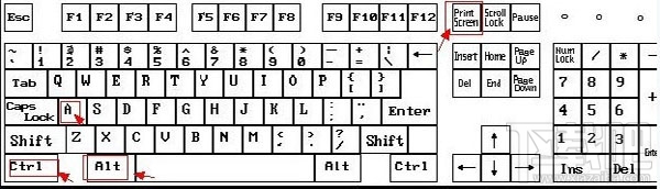 电脑怎么截图,电脑截图的快捷键是什么