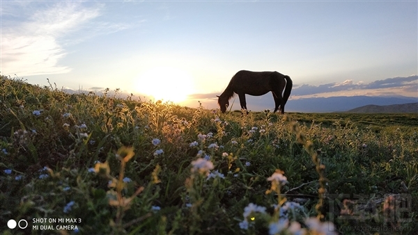 小米Max3正式发布:6.9寸巨屏+5500mAh电池