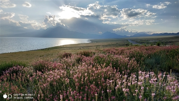 小米Max3正式发布:6.9寸巨屏+5500mAh电池