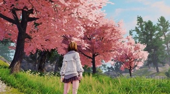 明日之后快乐101樱花树在哪里?末世樱花位置和玩法一览