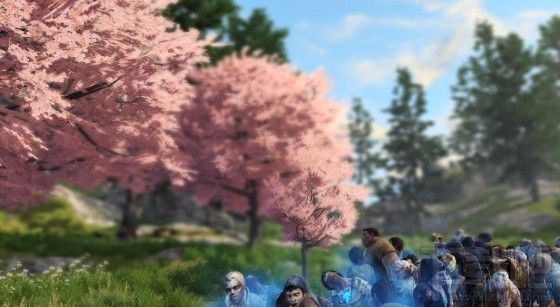 明日之后快乐101樱花树在哪里?末世樱花位置和玩法一览