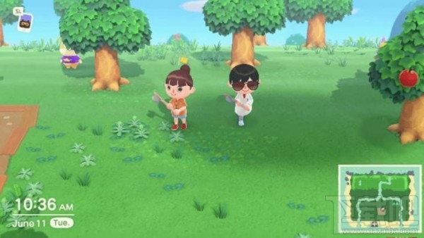 动物森友会怎么多人联机?多人联机玩法攻略