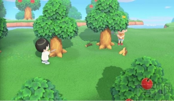 动物森友会怎么多人联机?多人联机玩法攻略