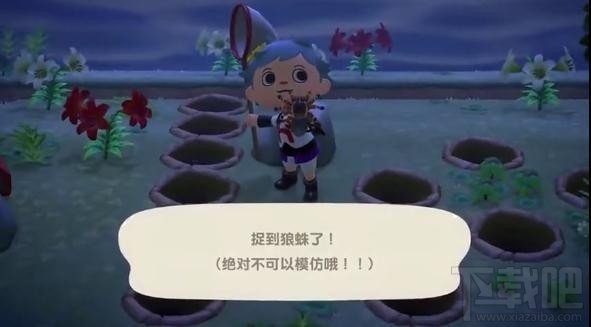 集合啦动物森友会狼蛛在哪抓?人造狼蛛岛刷钱心得分享