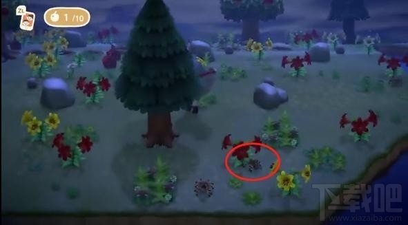 集合啦动物森友会狼蛛在哪抓?人造狼蛛岛刷钱心得分享