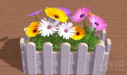 创造与魔法神秘花仙子在哪里?神秘花仙子刷新位置一览