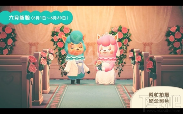 集合啦动物森友会4月23日更新了哪些内容?4月23日更新内容介绍