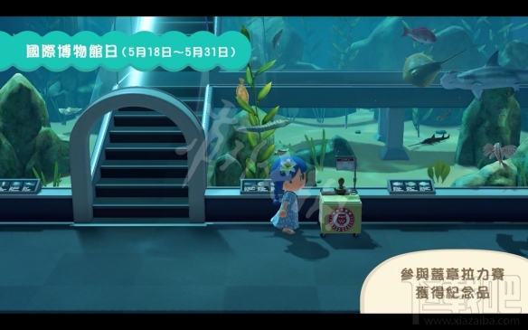 集合啦动物森友会4月23日更新了哪些内容?4月23日更新内容介绍