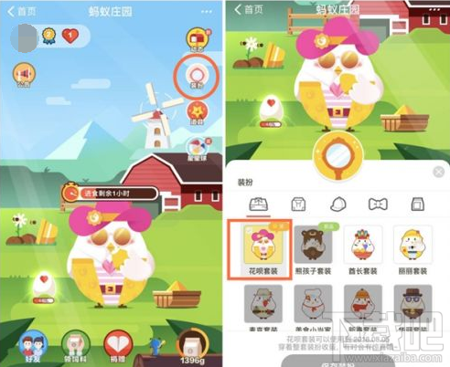 支付宝蚂蚁庄园新福利:收鸡蛋50%概率获花呗红包