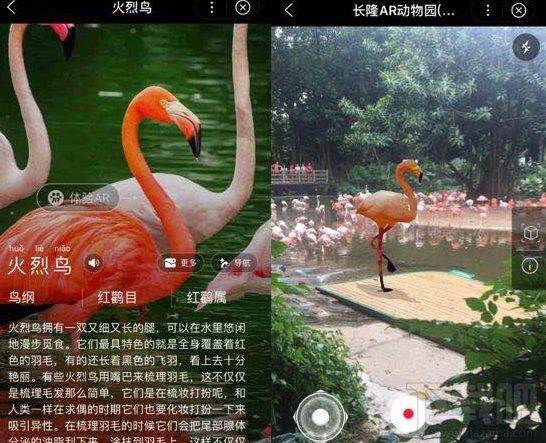 百度长隆AR动物园小程序入口在哪,怎么搜索不到,如何打开呢。