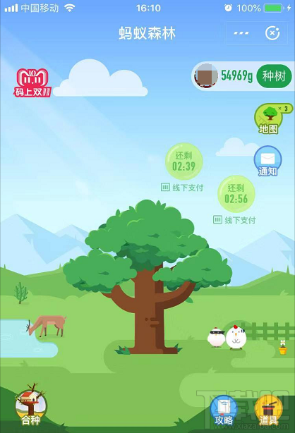 支付宝蚂蚁森林:你改变的不仅仅是虚拟世界