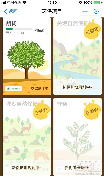 支付宝蚂蚁森林:你改变的不仅仅是虚拟世界